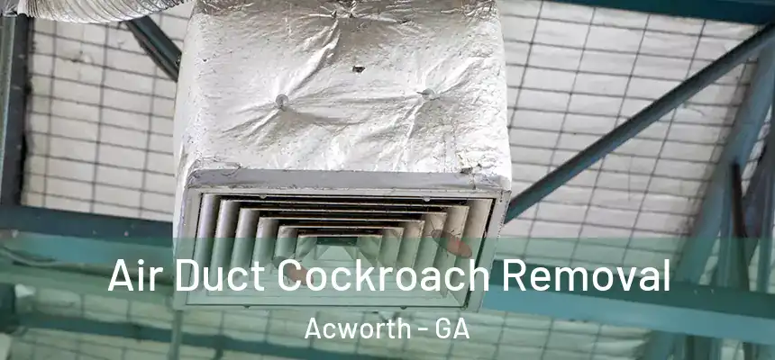 Air Duct Cockroach Removal Acworth - GA
