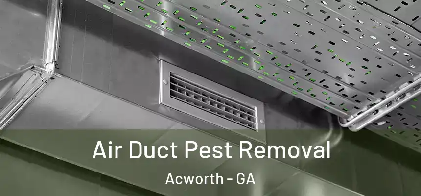  Air Duct Pest Removal Acworth - GA