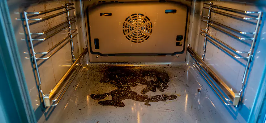 Our Dryer Vent Mold Cleaning Services in Acworth, GA