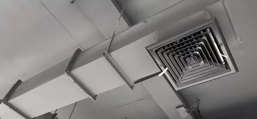 Our Rodent Droppings In Vents Services in Acworth, GA