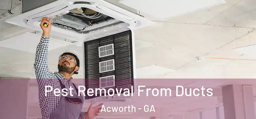 Pest Removal From Ducts Acworth - GA