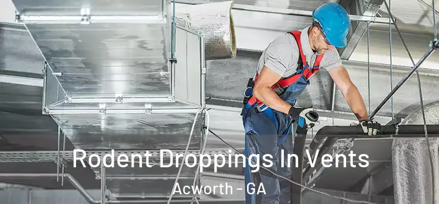  Rodent Droppings In Vents Acworth - GA