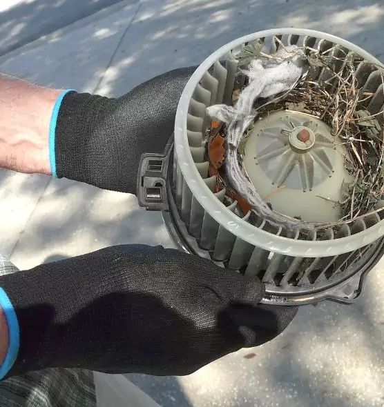 About Air Duct Rat Removal in Acworth, GA