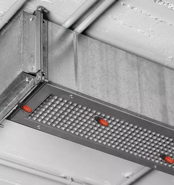 Affordable Insect Removal from Air Ducts in Acworth, GA