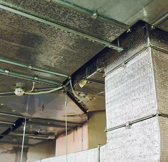 Why Homeowners & Businesses Trust Us in Acworth, GA?